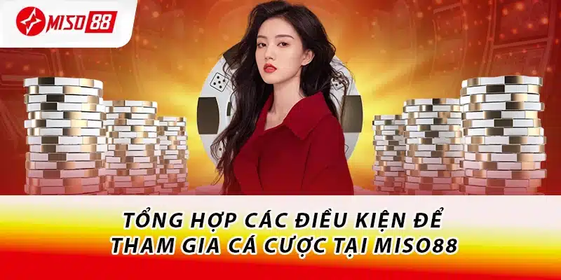 Tổng hợp các điều kiện để tham gia cá cược tại Miso88